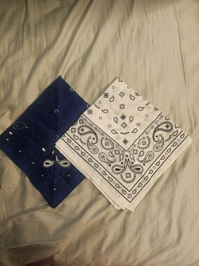 Set of 2 Vintage Style Blue & White Paisley Cotton Bandanas